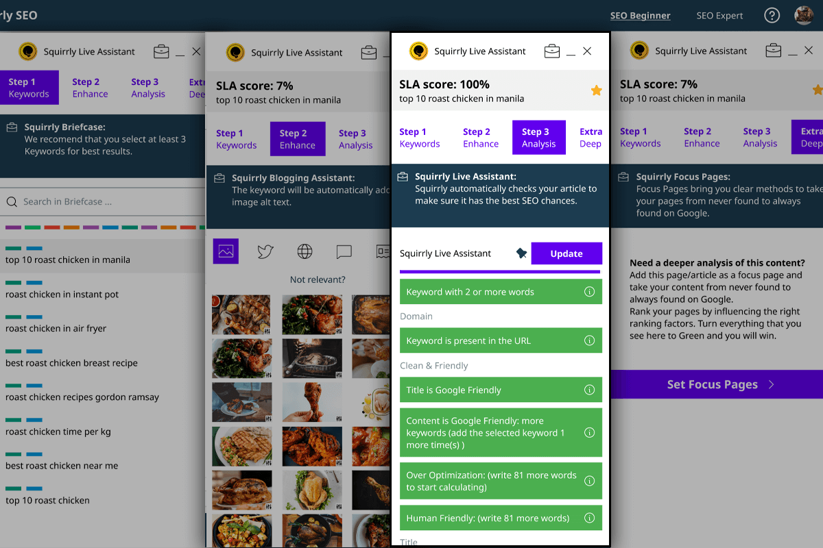 screenshot of Squirrly SEO